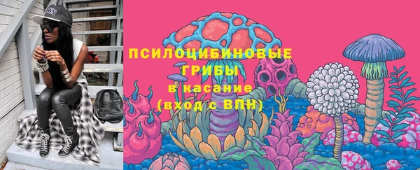 молекула духа Алексеевка
