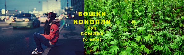 молекула духа Алексеевка