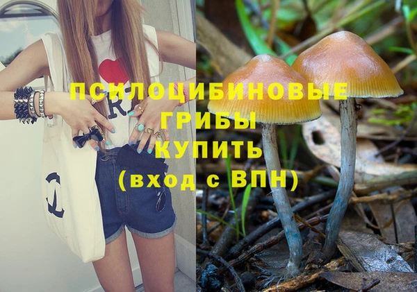mix Алексин