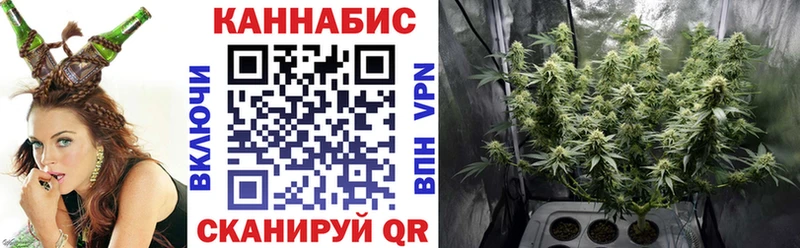 Бошки марихуана конопля Плавск